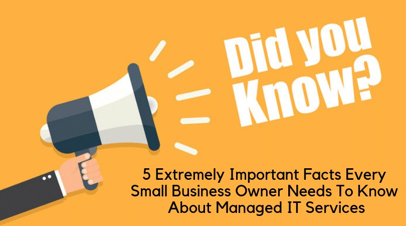 5 Extremely Important Facts Every Small Business Owner Needs To Know About Managed IT Services